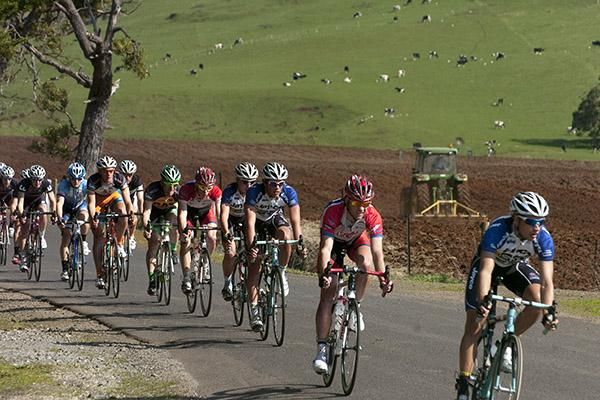 The peloton descends in the farming region on Tasmania's North-West Coast.