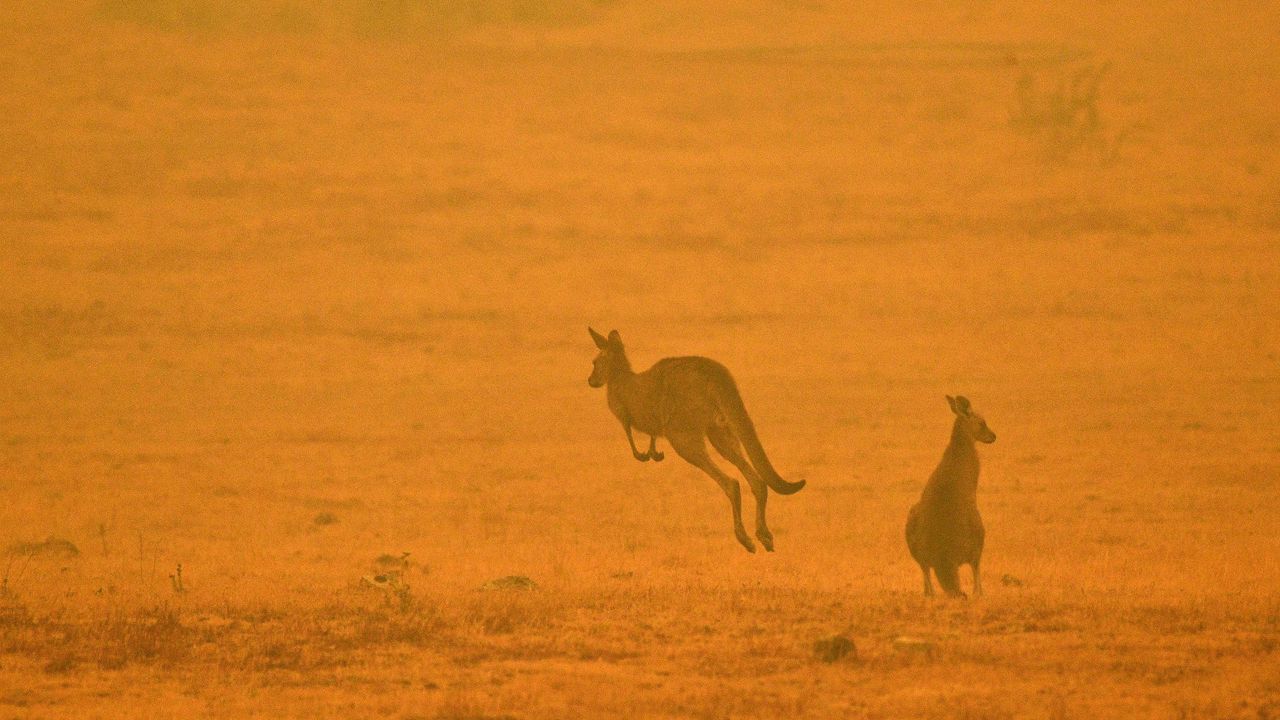 Australian wildfires