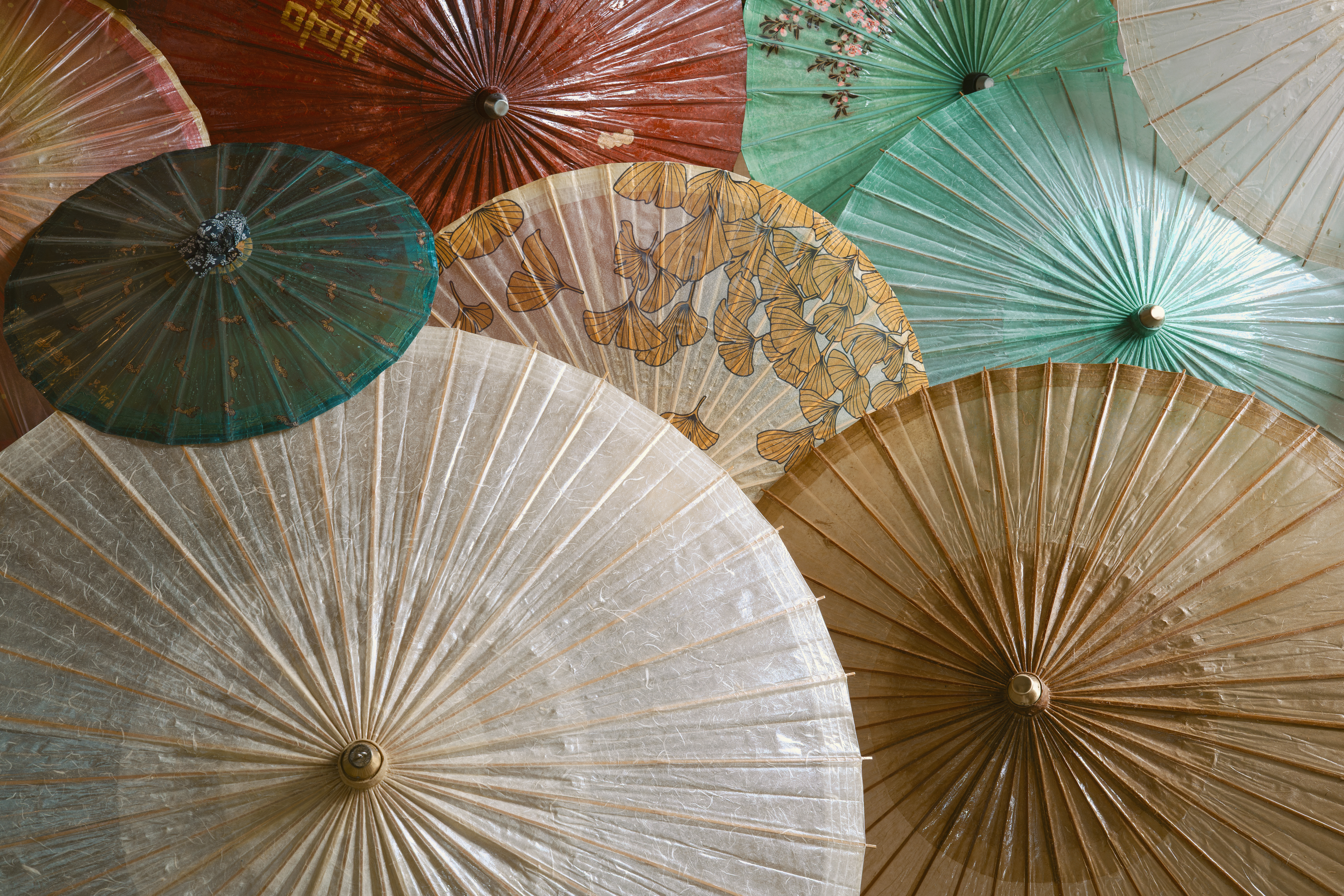 A sample image taken with the Sigma 35mm f/1.4 DG II Art