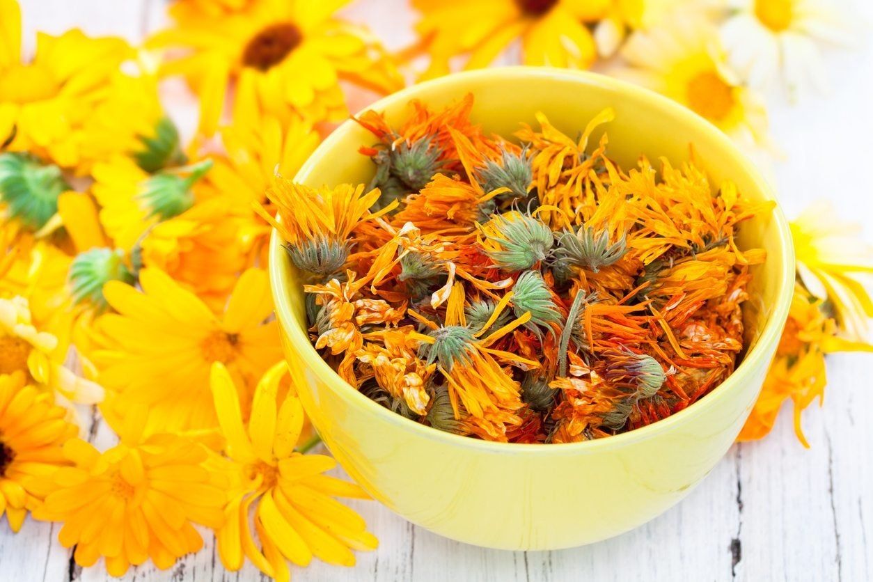 Bowl Of Dried Up Calendula Flowers