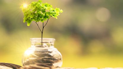 Sustainable investing concept with tree and money pot