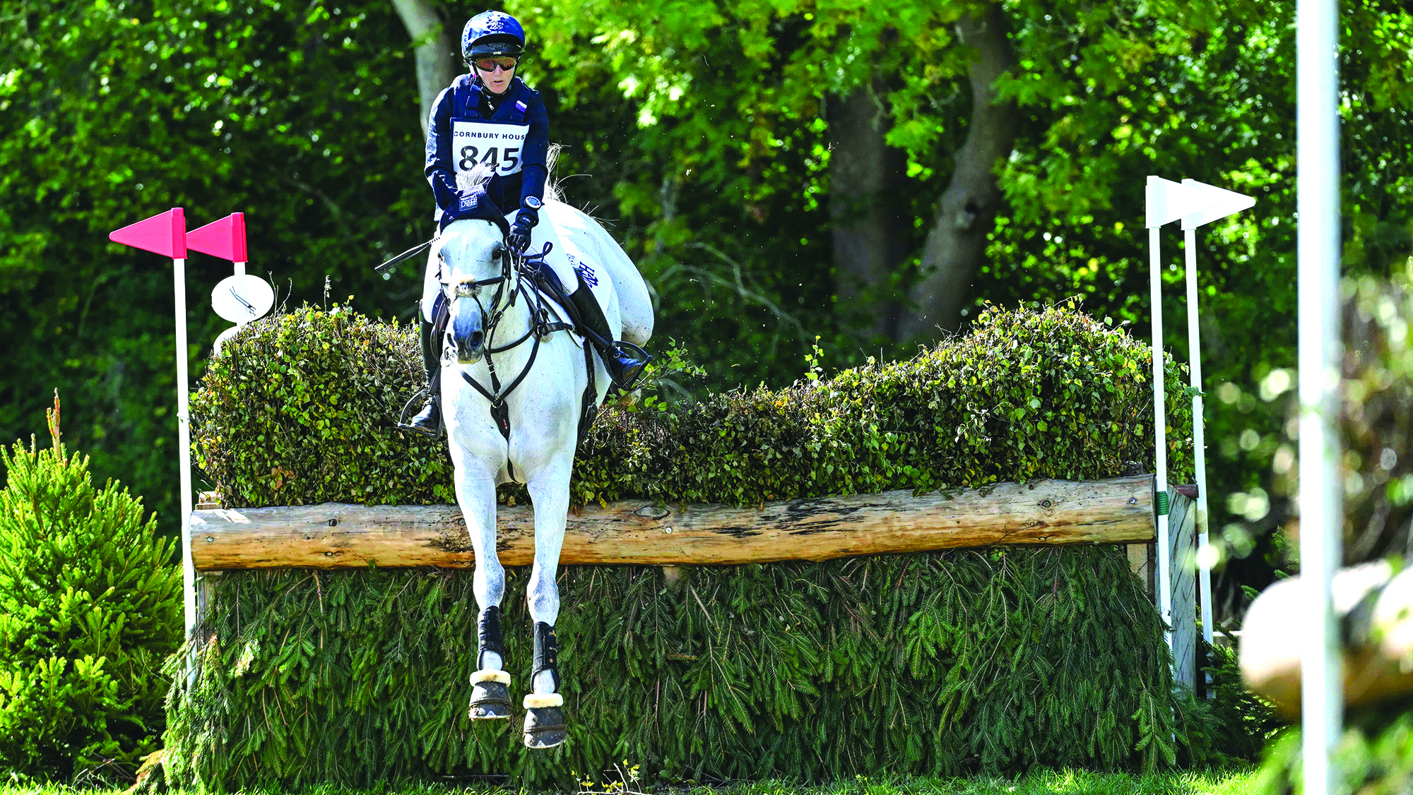 A rider in a blue hat and top rides a grey horse over a brush fence
