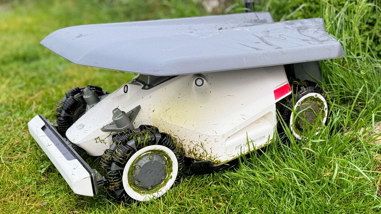 Mammotion LUBA 2 AWD 5000H Robot Lawn Mower being tested in writer's home