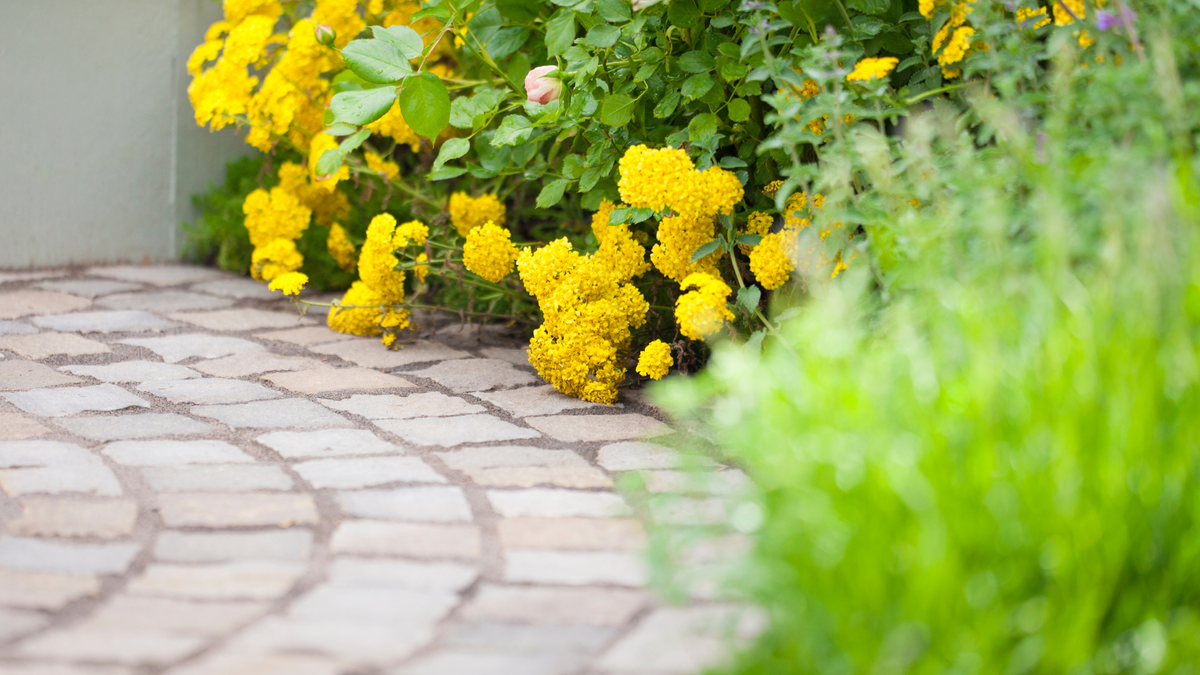 Best patio cleaners 2024: top solutions to keep your outdoor areas looking  spick and span