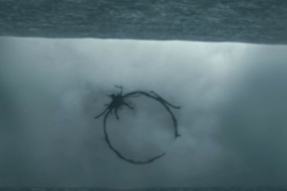 the arrival movie meaning