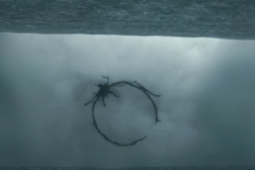 Written &quot;alien&quot; language from Arrival movie