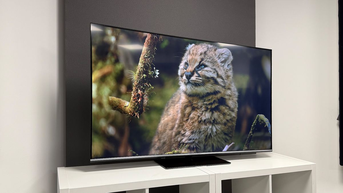Mitchell & Brown QLED1811 review: budget British TV is better than
