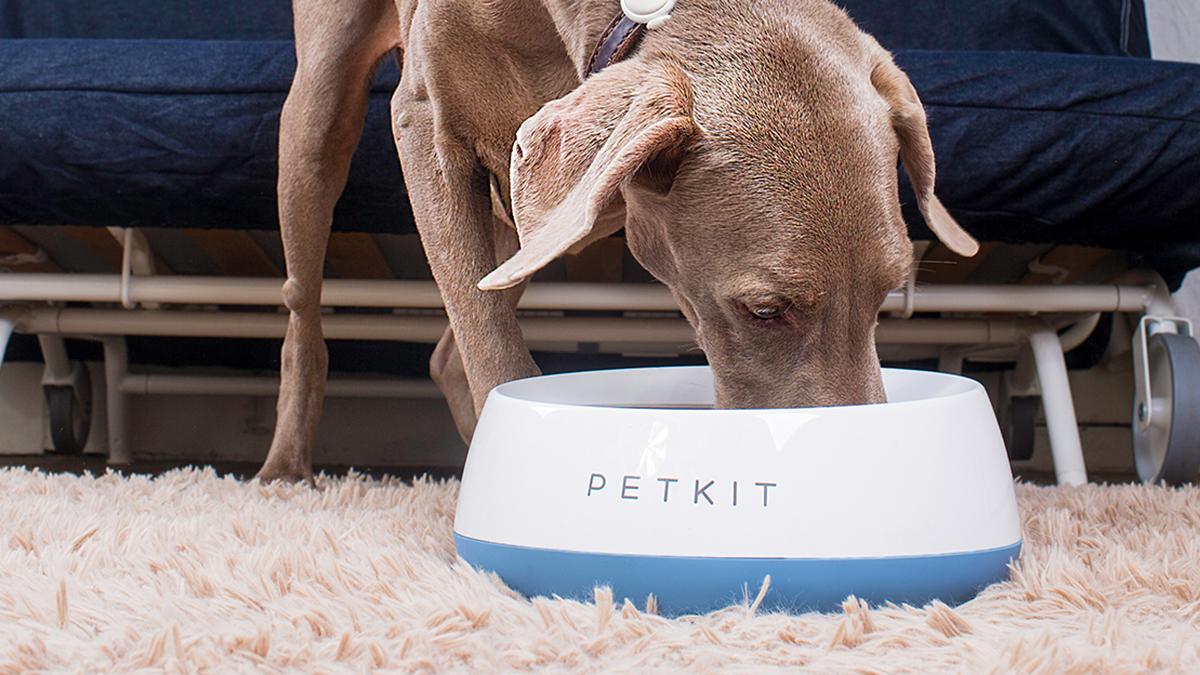 Petkit Fresh Metal Large Machine Washable Smart Digital Feeding Pet Bowl - Blue