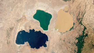 A satellite image of Lake Shala (blue), Lake Abijatta (green) and Lake Langano (yellow) in Ethiopia. The striking image was captured by the Landsat 8 satellite on March 29.