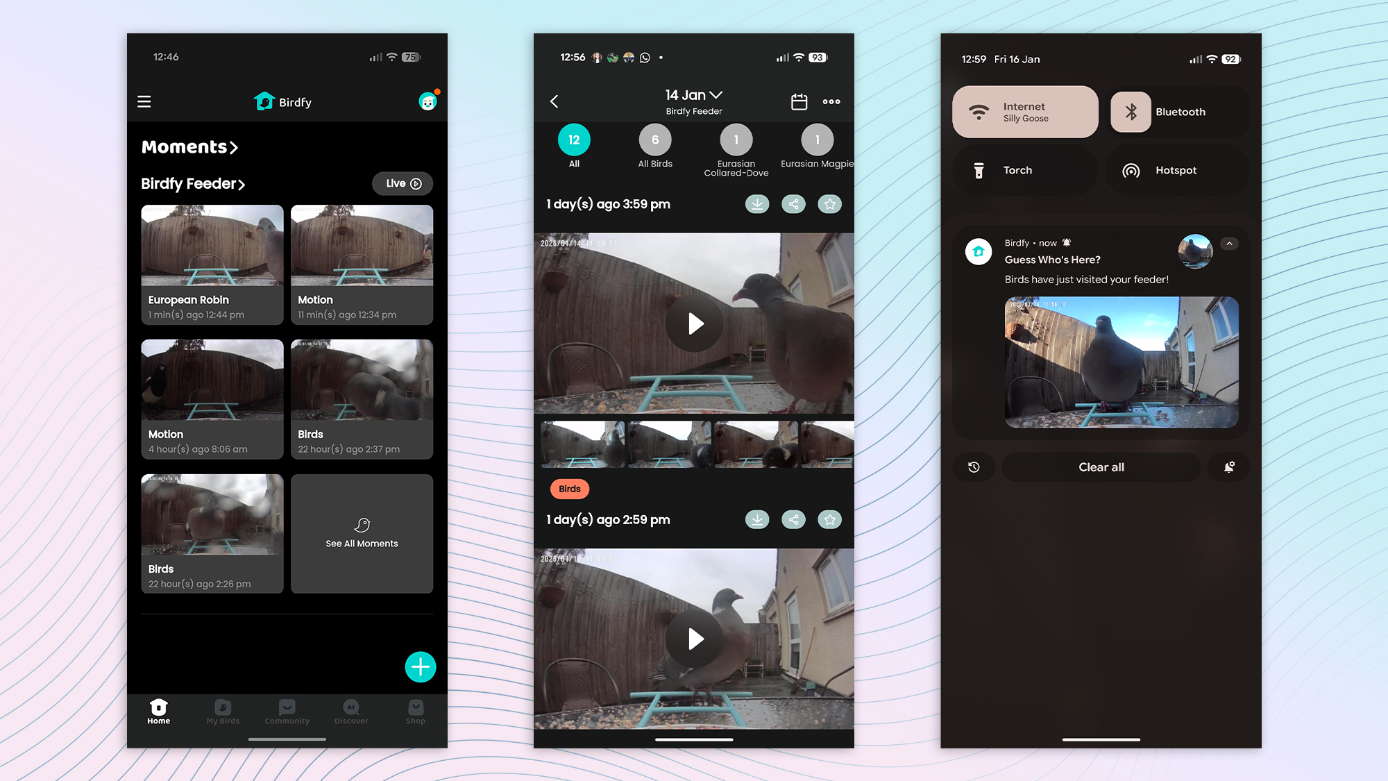 Screenshots from the Birdfy smart bird feeder app on Google Pixel 10 Pro XL