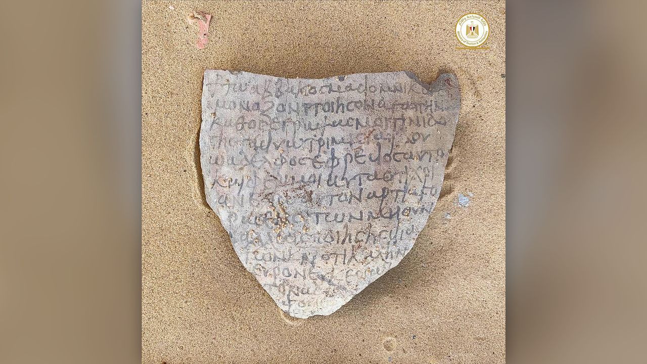 A piece of ostraca found at the site.