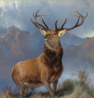 Sir Edwin Landseer’s Monarch of the Glen (Picture: National Galleries of Scotland)