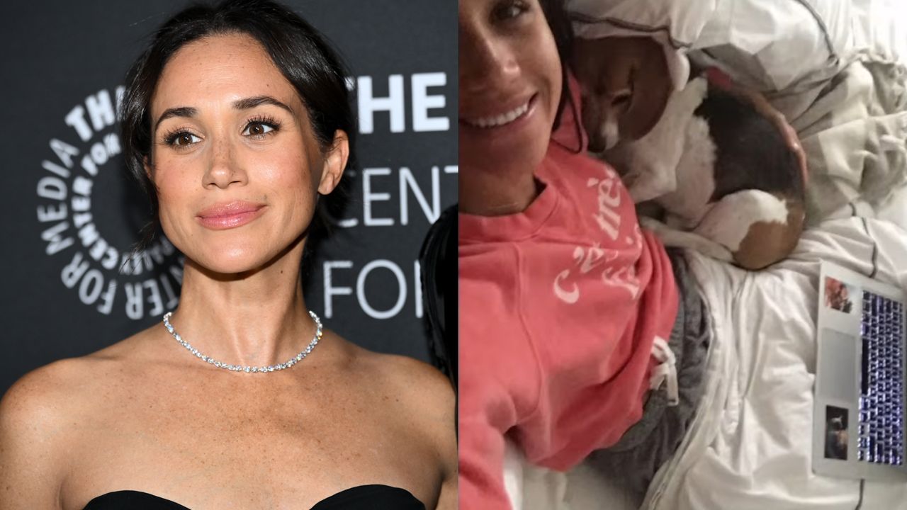 Meghan Markle and guy the dog sitting in bed next to a computer and a photo of Meghan in a black dress and diamond necklace