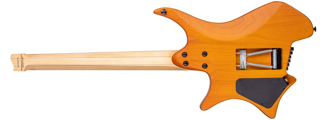 Strandberg Boden NX Concept