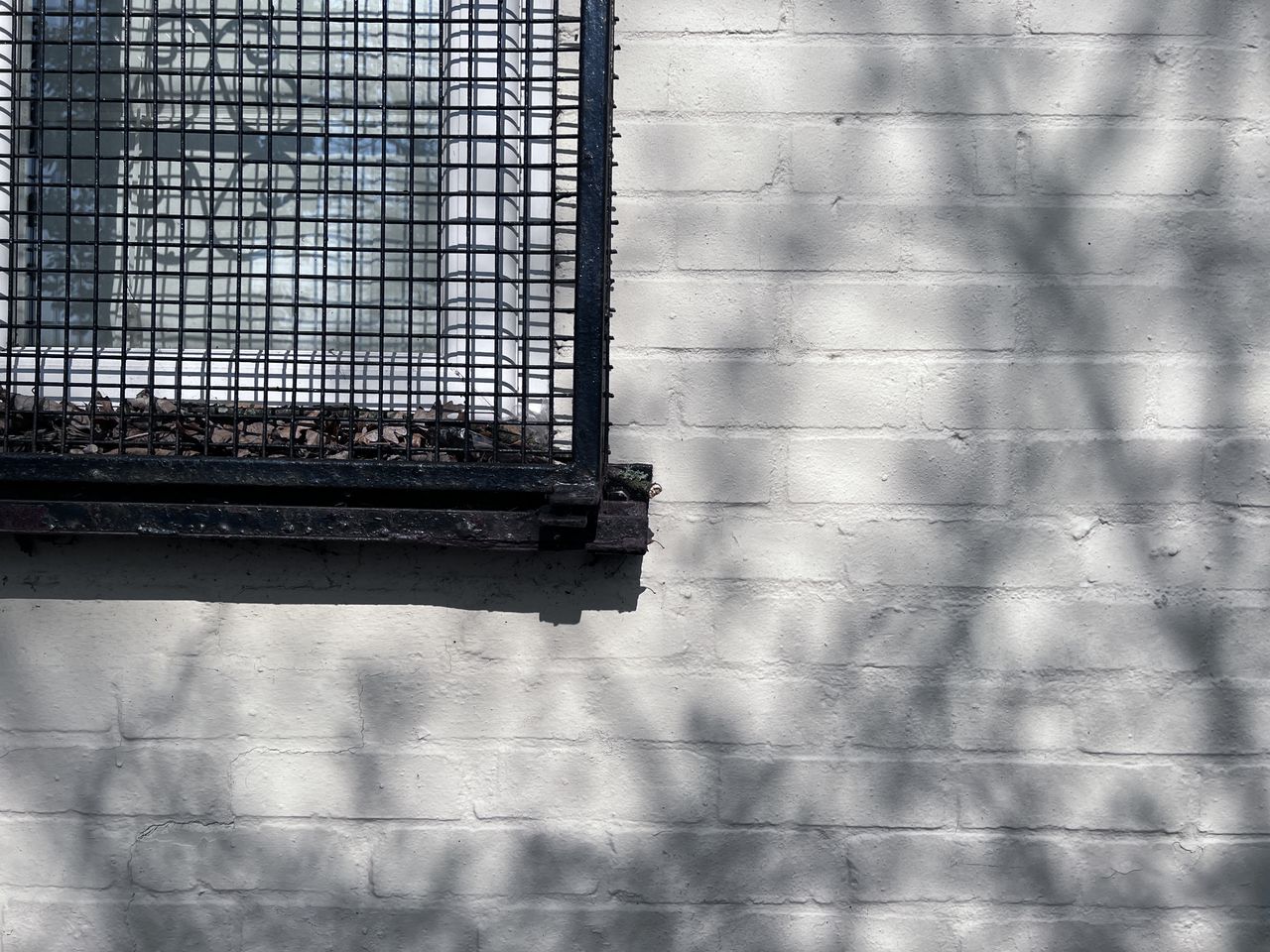 A wall with the shadow of a tree