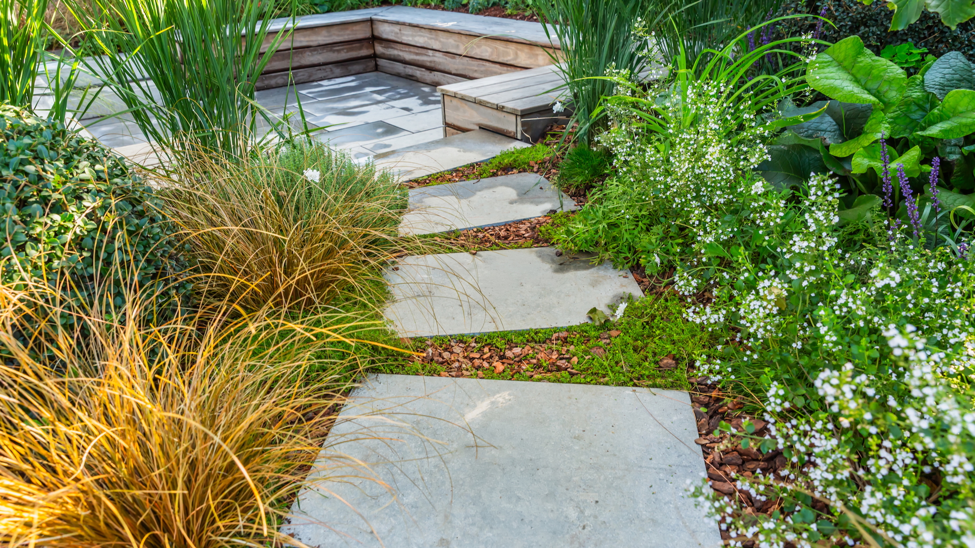 Some paving stones in a garden