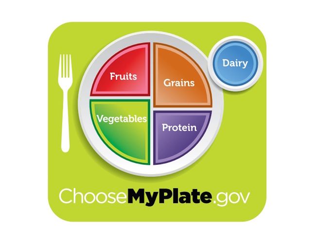 6 Distinctive Food Guides from Around the World Live Science