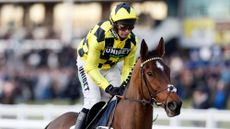 Sir Gino, pictured following his win in the 2024 Fighting Fifth Hurdle at Newcastle.
