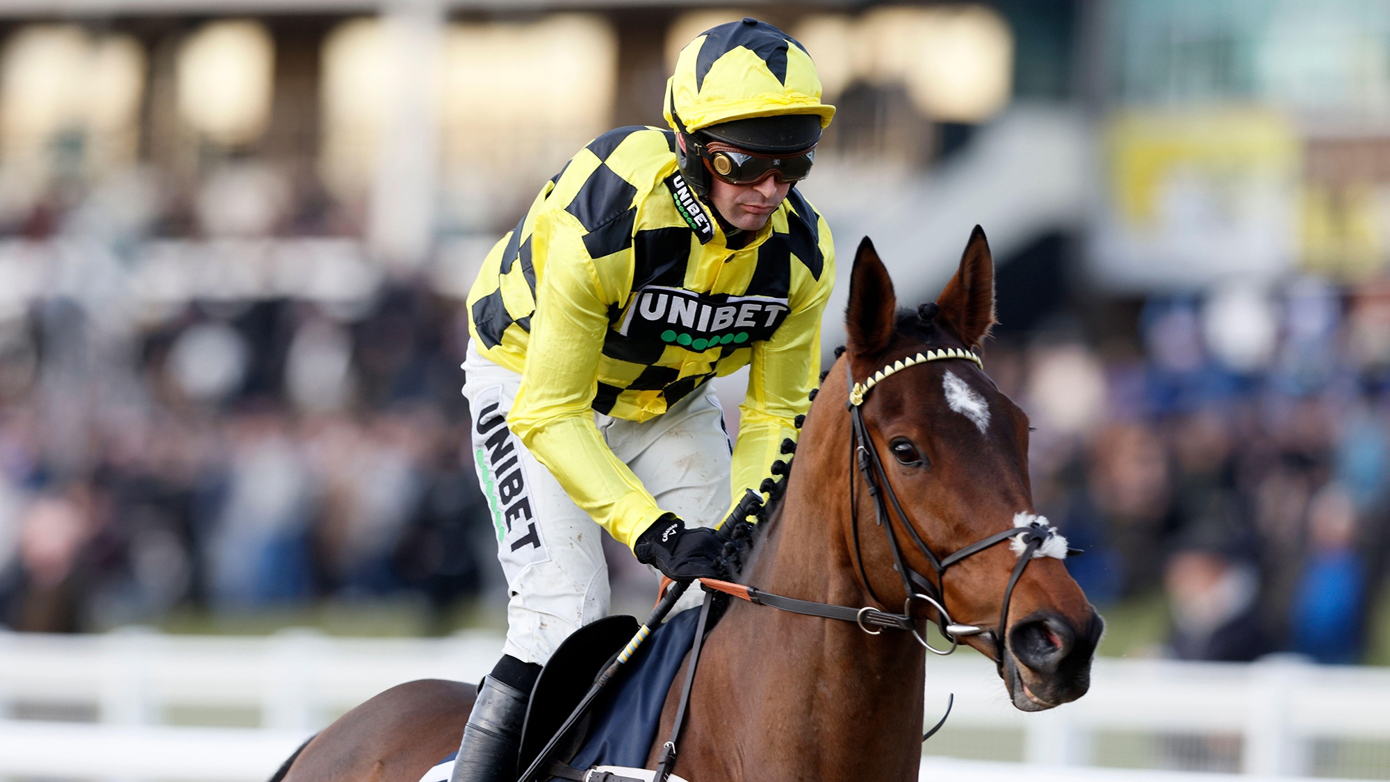 Sir Gino, pictured following his win in the 2024 Fighting Fifth Hurdle at Newcastle.