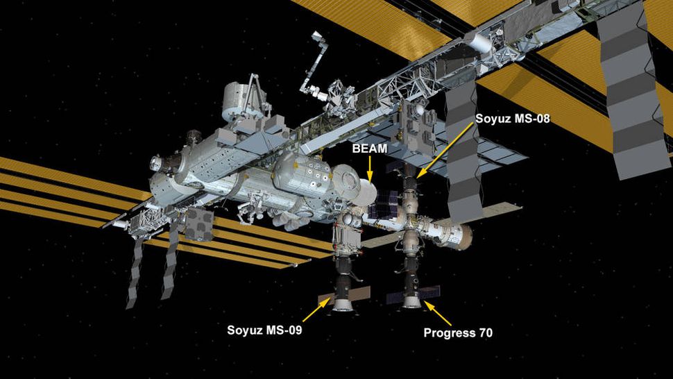 Astronauts Work to Seal Air Leak on Space Station. Here's How. Space