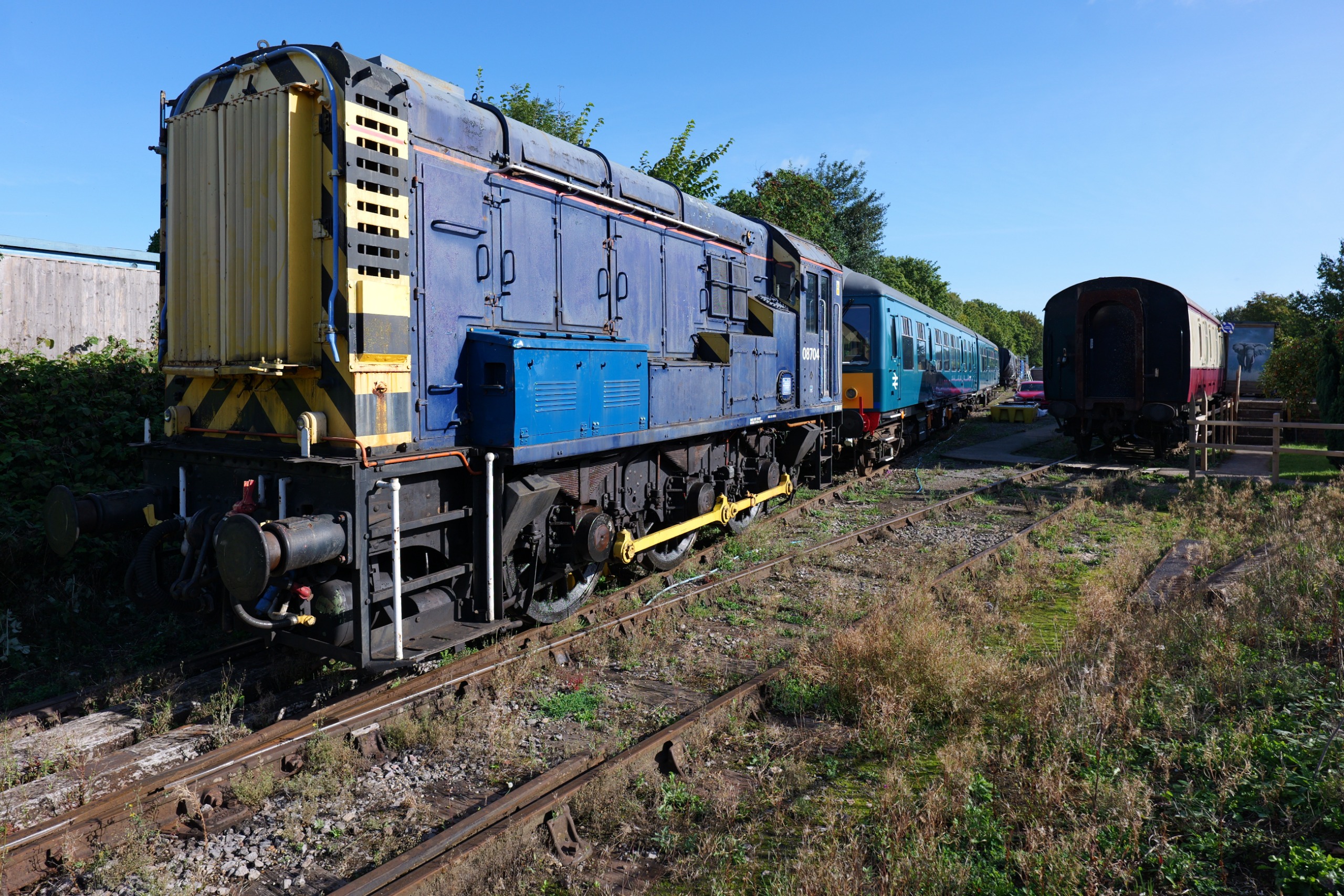 Panasonic Lumix S 20mm f/2.5 sample image