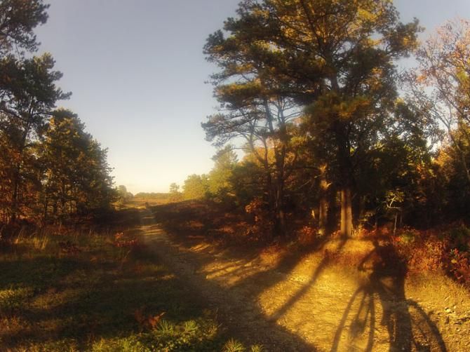 Long fall shadows