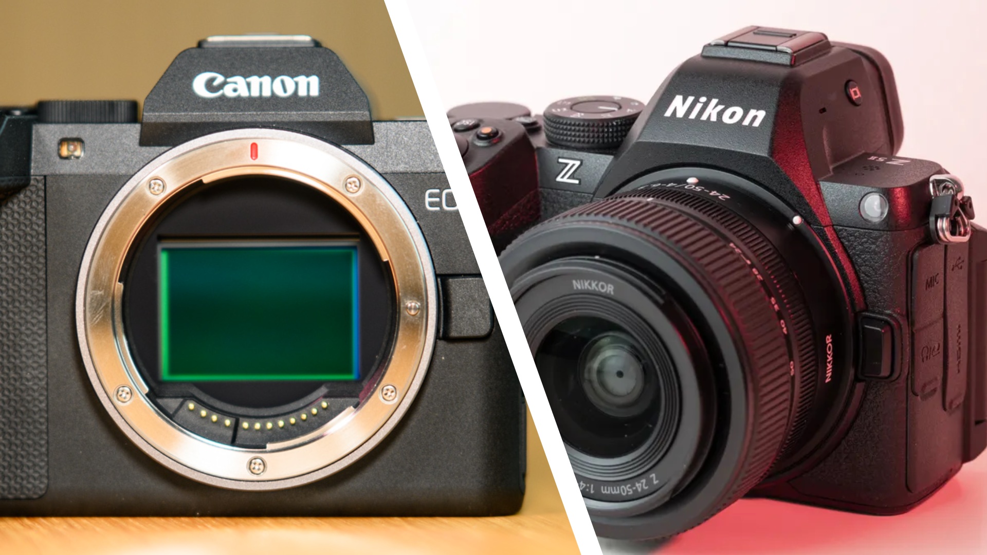 Canon EOS R8 Mark II (left) Nikon Z5 II (right)