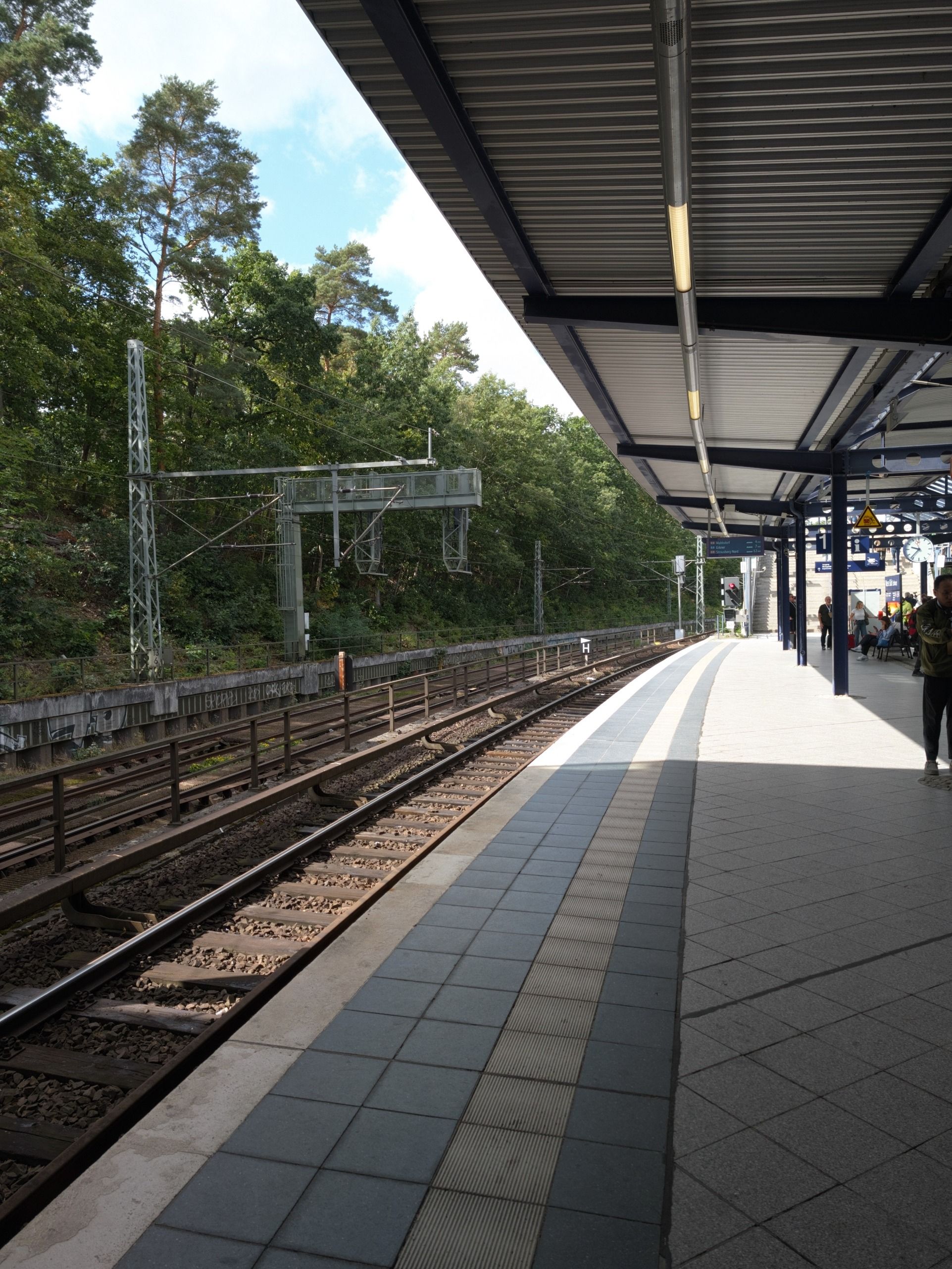Sunny outdoor railway platform bordered by dense green woodland.