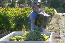 Cloudburst Will Berliner