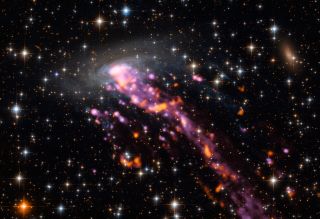 A spiral galaxy with gassy "tentacles" swims through the constellation Triangulum Australe in this new image from the Atacama Large Millimeter/submillimeter Array (ALMA) and the Very Large Telescope (VLT). The galaxy, named ESO 137-001, is being stripped of hot gas as it moves through space, where clouds of intergalactic gas "tug" the material away from the galaxy through a process called ram-pressure stripping. This creates a long trail behind the galaxy that stretches across 260,000 light-years.