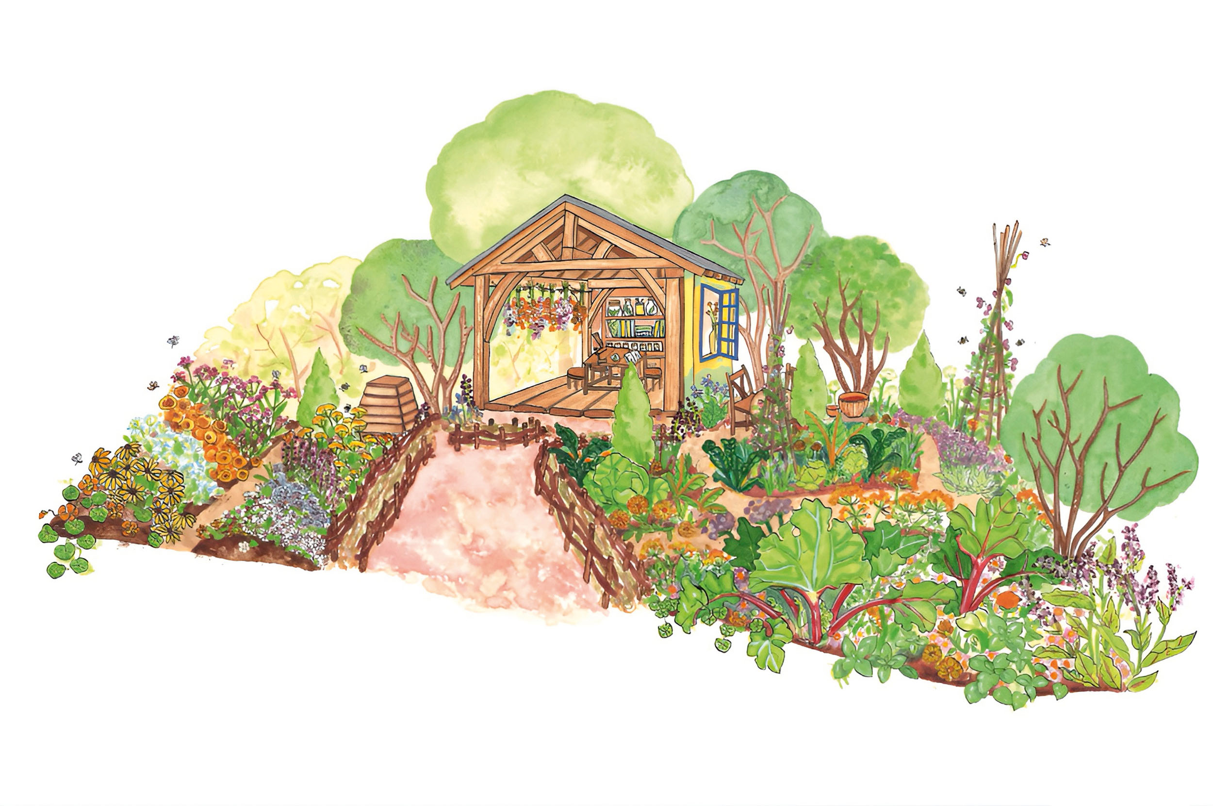 The RHS and The King s Foundation Curious Garden