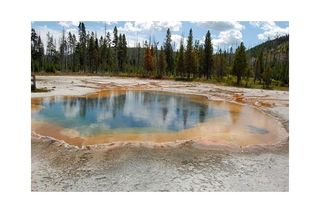 A Yellowstone hot spring where thermophiles have been found. Such heat-loving bacteria may be the last type of life to survive on Earth.