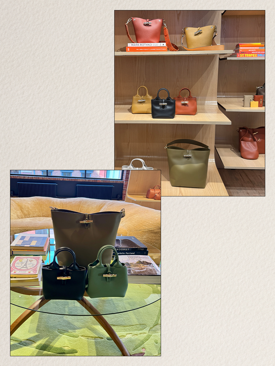 longchamp accessories