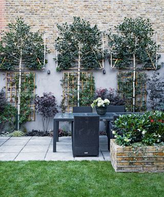 Trellis ideas with tree support