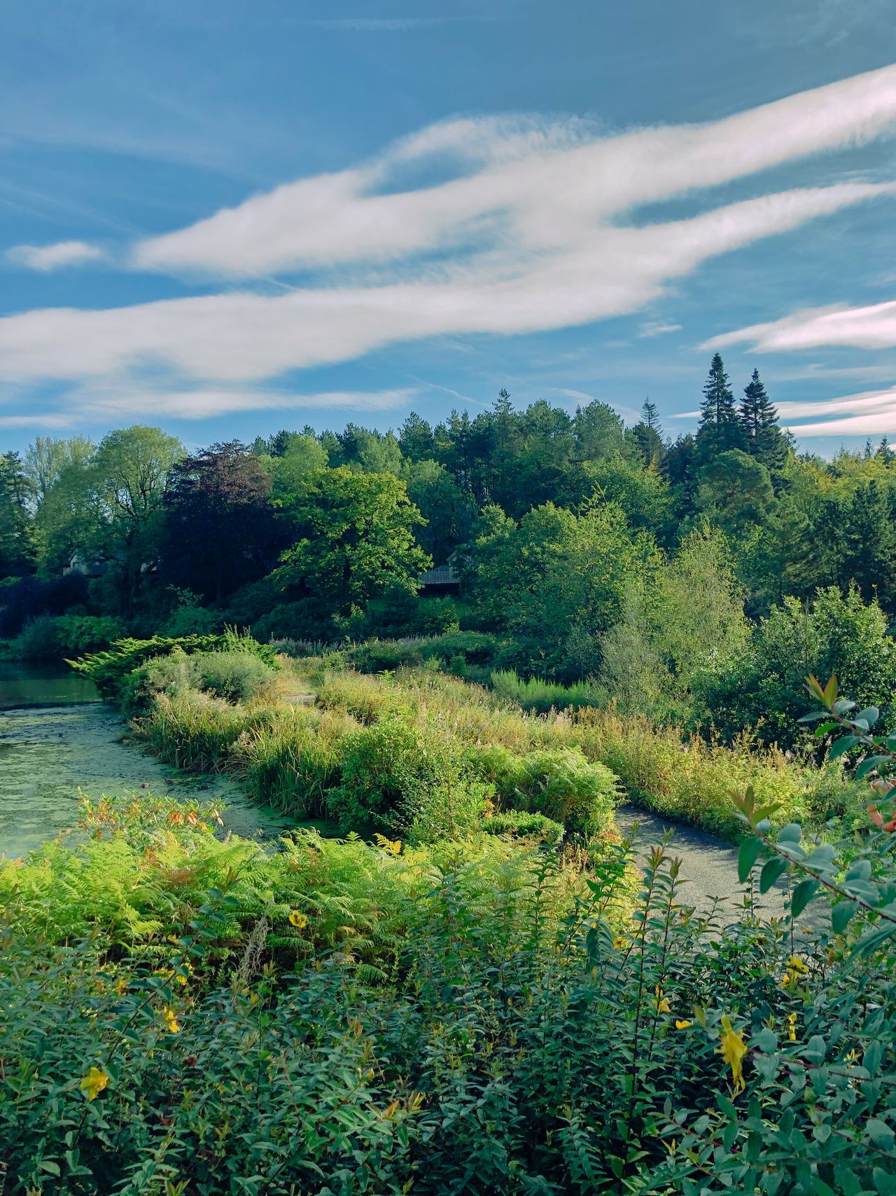 The grounds of The Tawny