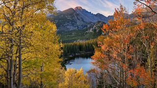 A lake in Rocky Mountain National Park framed by golden aspen trees in fall