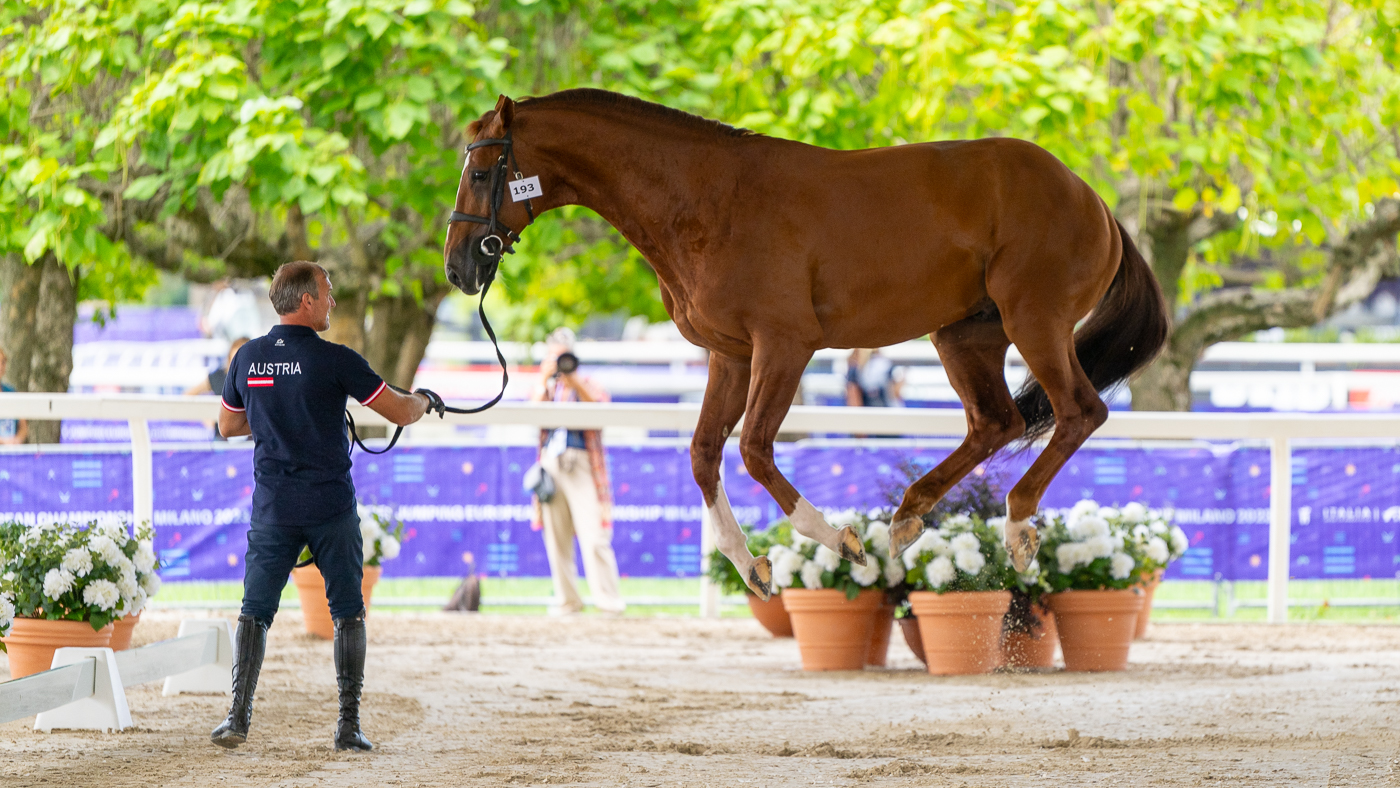 Gerfried Puck and Equitron Naxcel V in high spirits at the vet check for the European Showjumping Championships in Milan, Italy