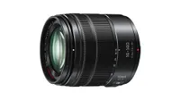 Best Micro Four Thirds lenses: Panasonic Lumix G Vario 14-140mm f3.5-5.6 ASPH Power OIS