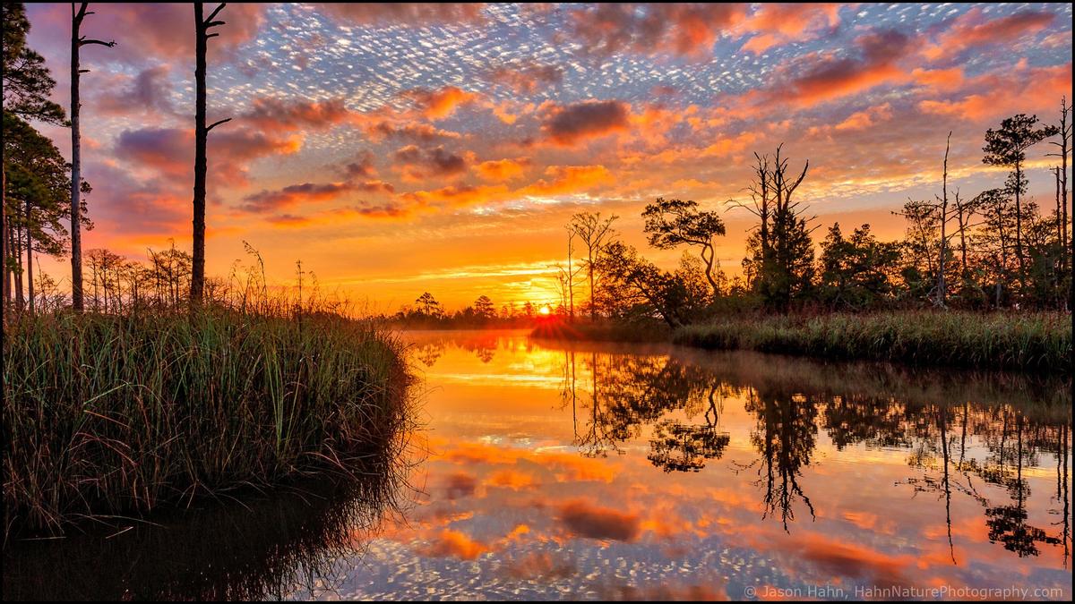 HDR bayou