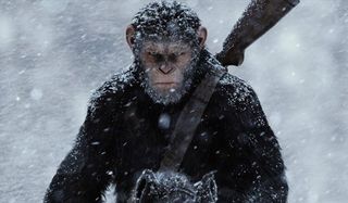 that ape is mad in war for the planet of the apes