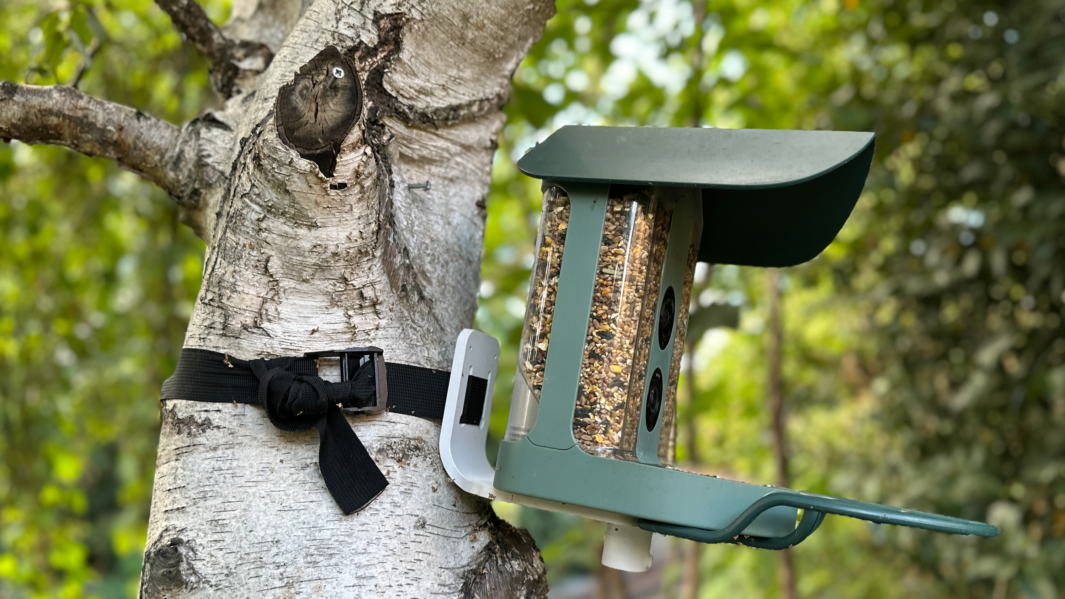 The Kiwibit Beako strapped to a tree