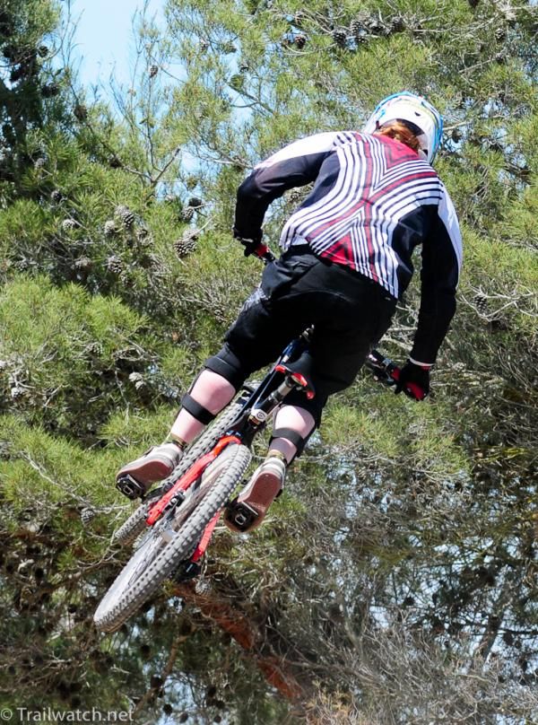 Soaring through the trees