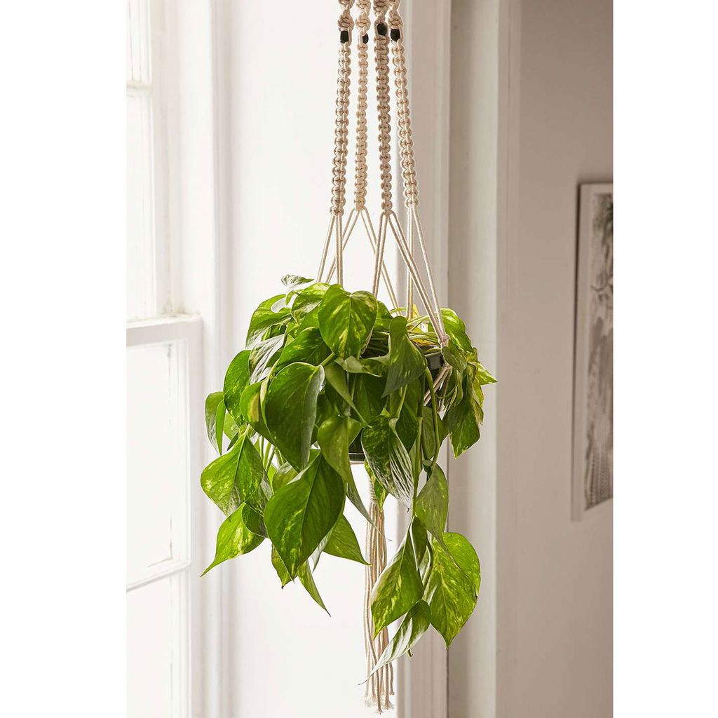 6 of the best hanging baskets Ideal Home