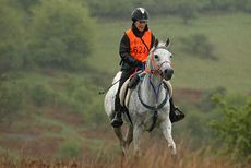 2015-Horseshoe-in-the-rain.jpg