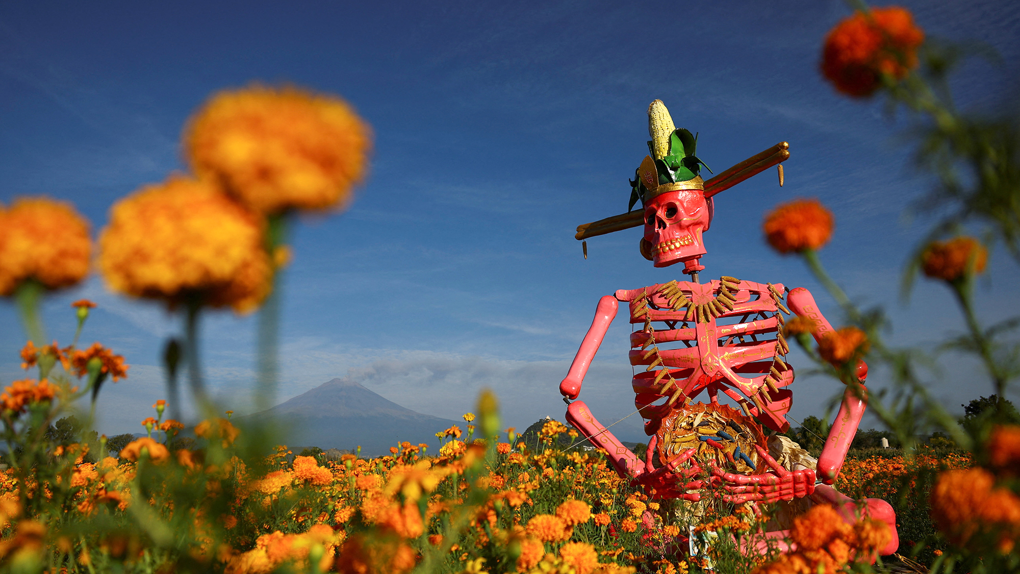 An enormous skeleton sculpture sits in a field of marigold flowers, with the Popocat&amp;eacute;petl volcano visible in the distance, ahead of Day Of The Dead celebrations in Atlixco, Mexico
