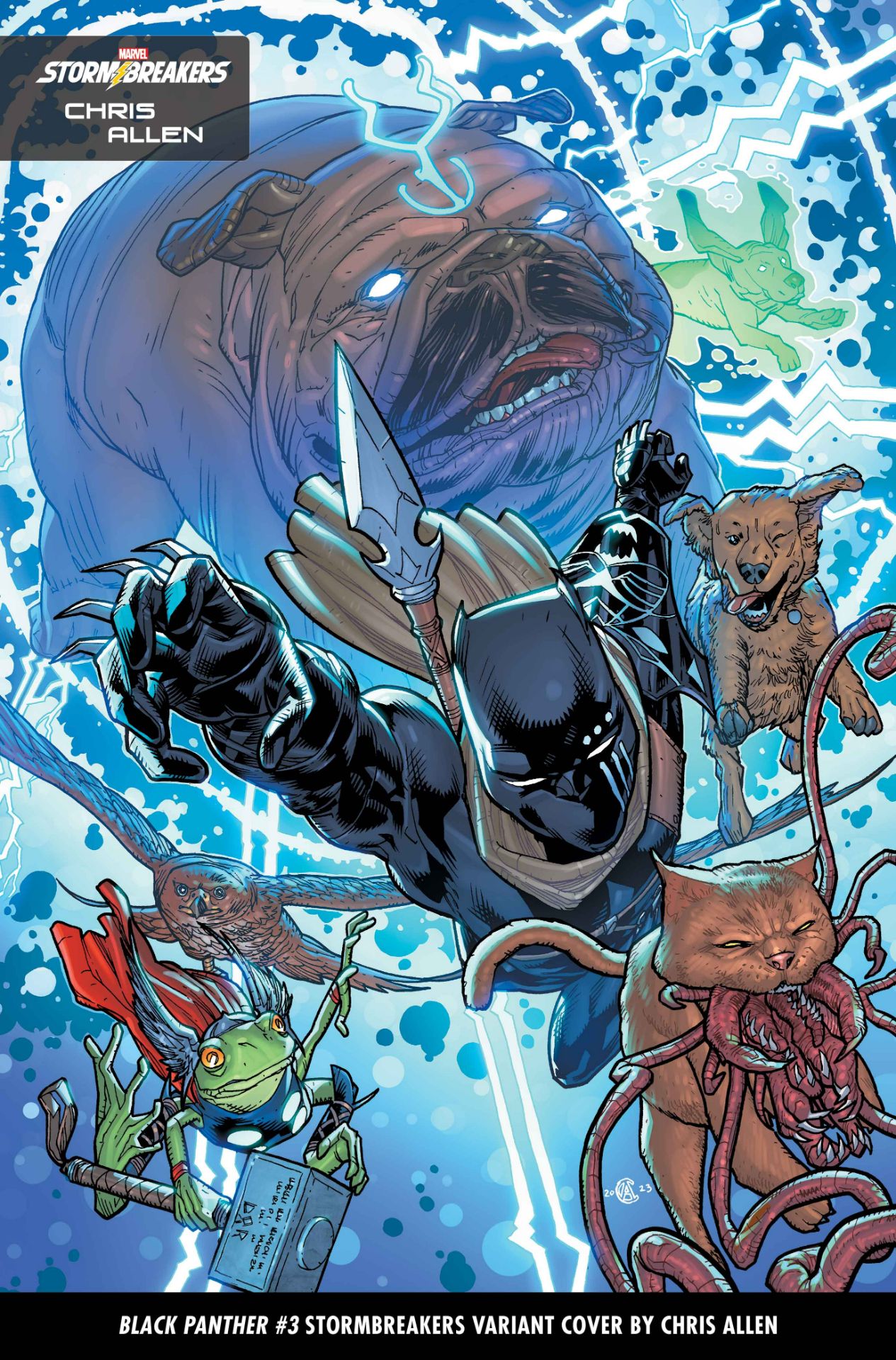 Black Panther #3 variant cover by Chris Allen