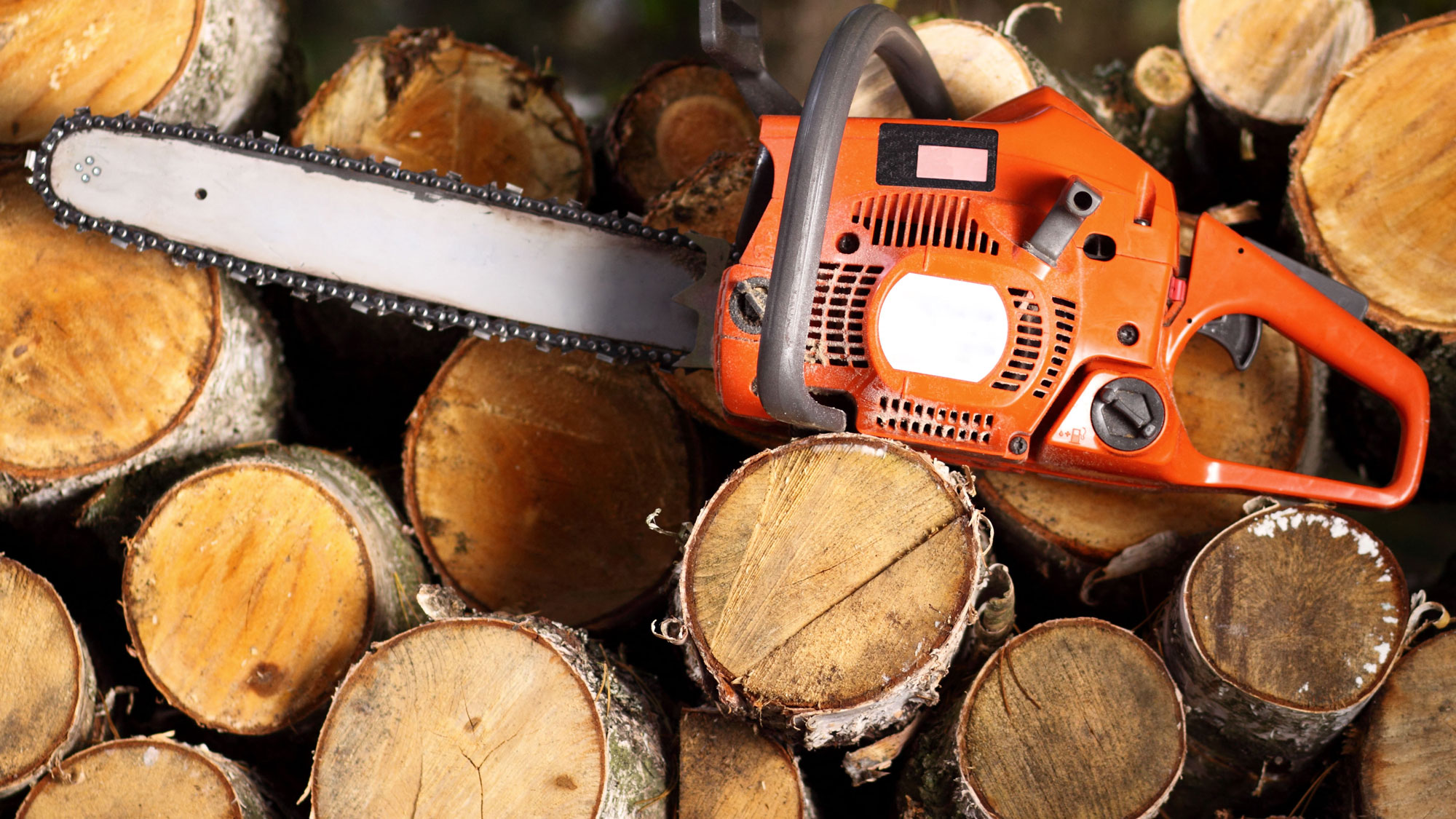 orange chainsaw positioned on pile of logs showing flat smooth edges