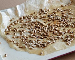 toasting pumpkin seeds