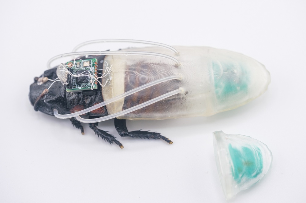 NTU Singapore's Cockroach scuba suit