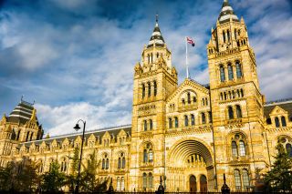 Natural History Museum. London, England, United kingdom, Europe.